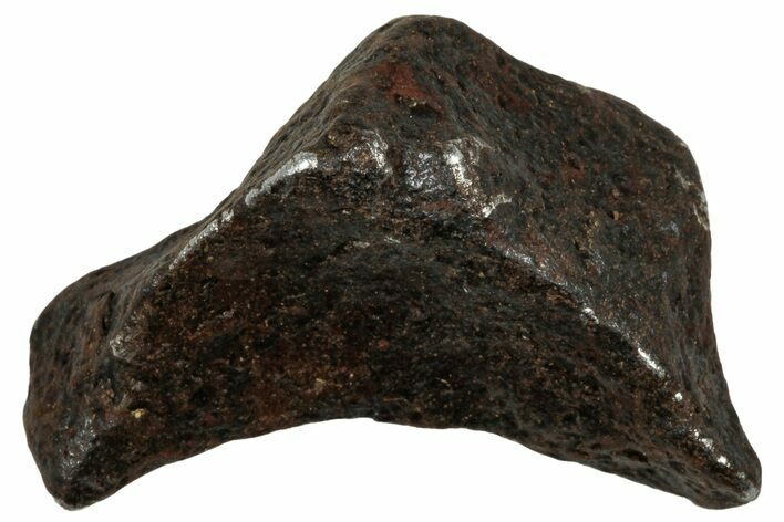 Canyon Diablo Iron Meteorite ( g) - Arizona #303549